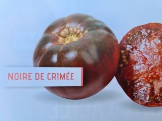 Tomate Greffée Noire de Crimée 1Lt